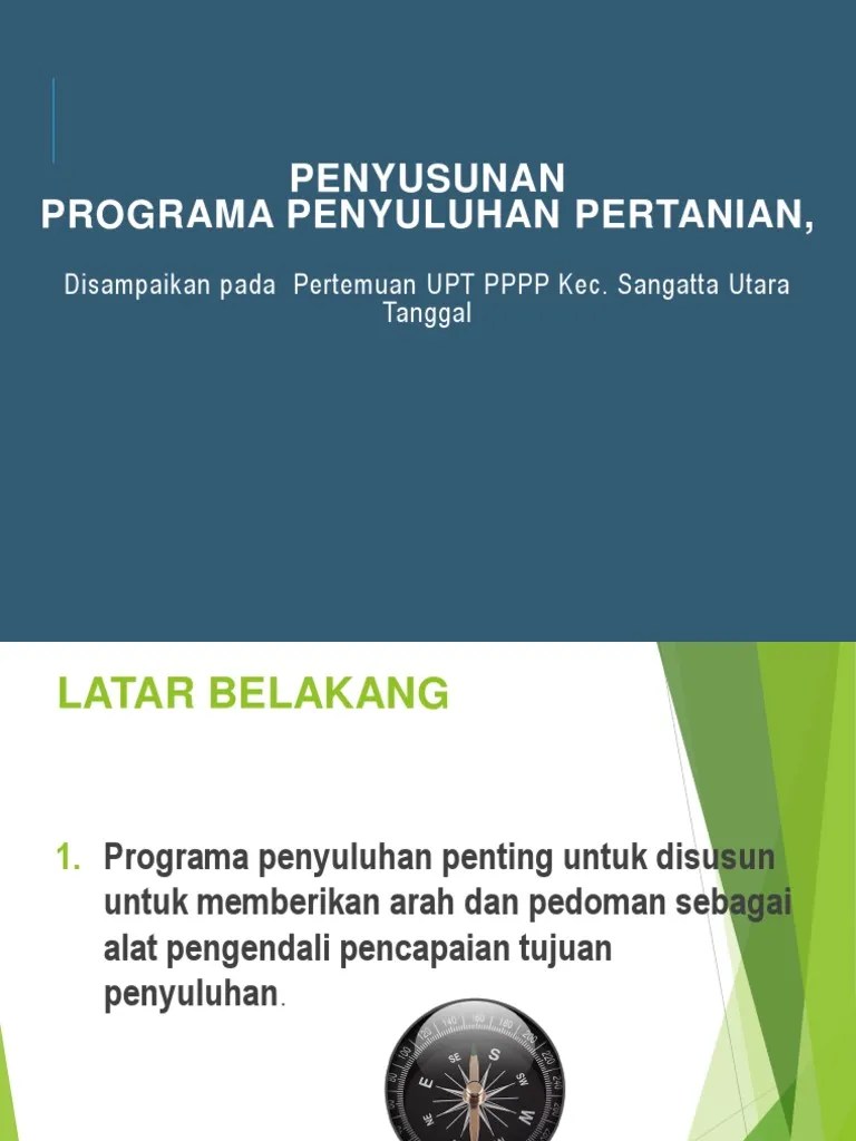 Penyusunan Programa PP | PDF