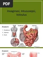 Referat Mata Epifora | PDF