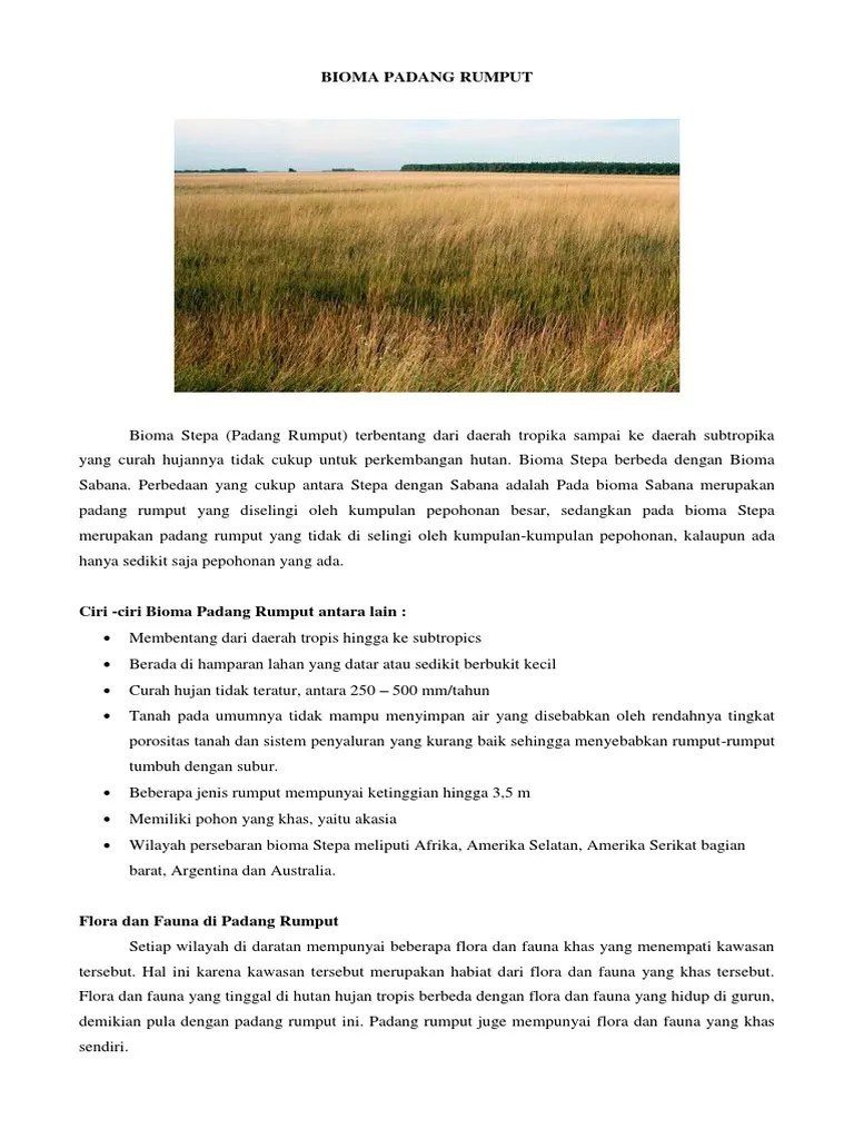 Bioma Padang Rumput | PDF