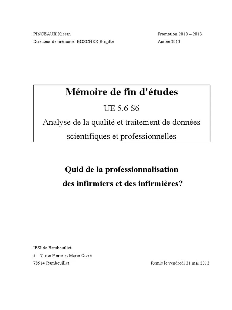 Tfe Kieran Pinceaux | PDF | Identité (Science sociale) | Allaitement