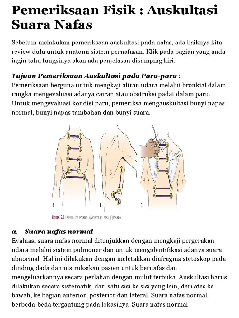 Pemeriksaan Fisik: Auskultasi Suara Nafas | PDF
