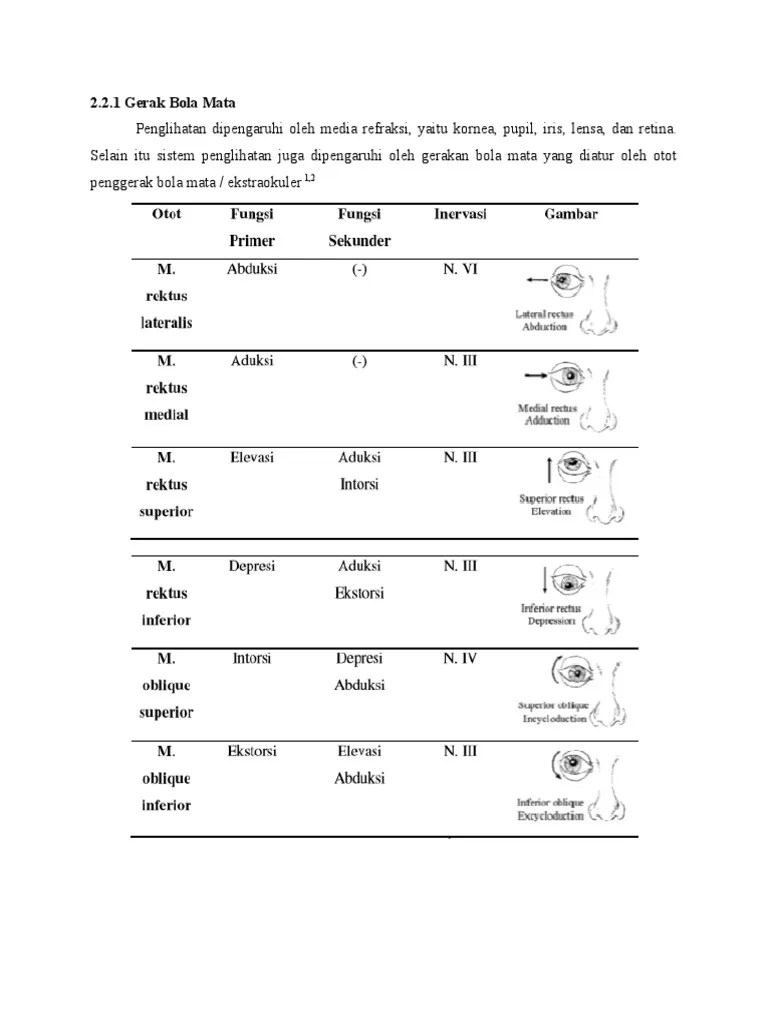 Fisiologi Motorik Bola Mata Dan Patofisiologi Ocular Misalignment-1 | PDF