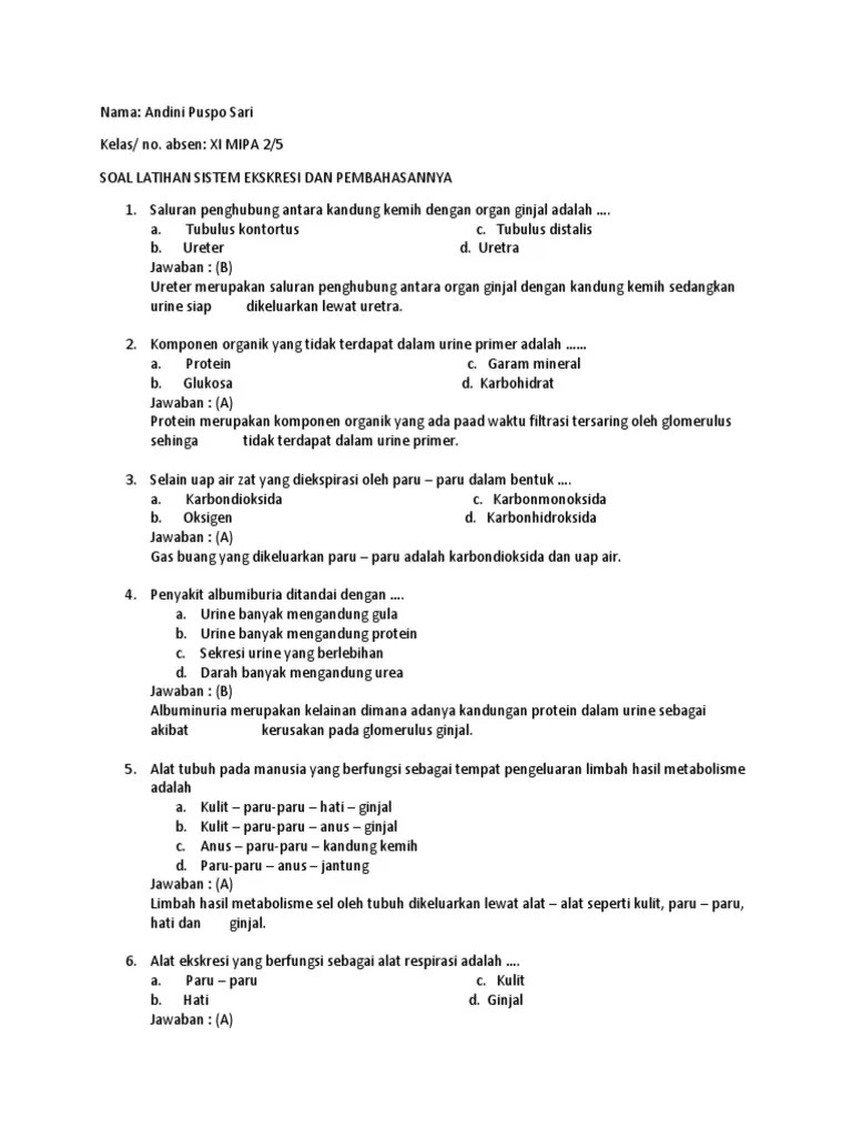 Soal Dan Pembahasan Ekskresi Kelas XI SMA | PDF