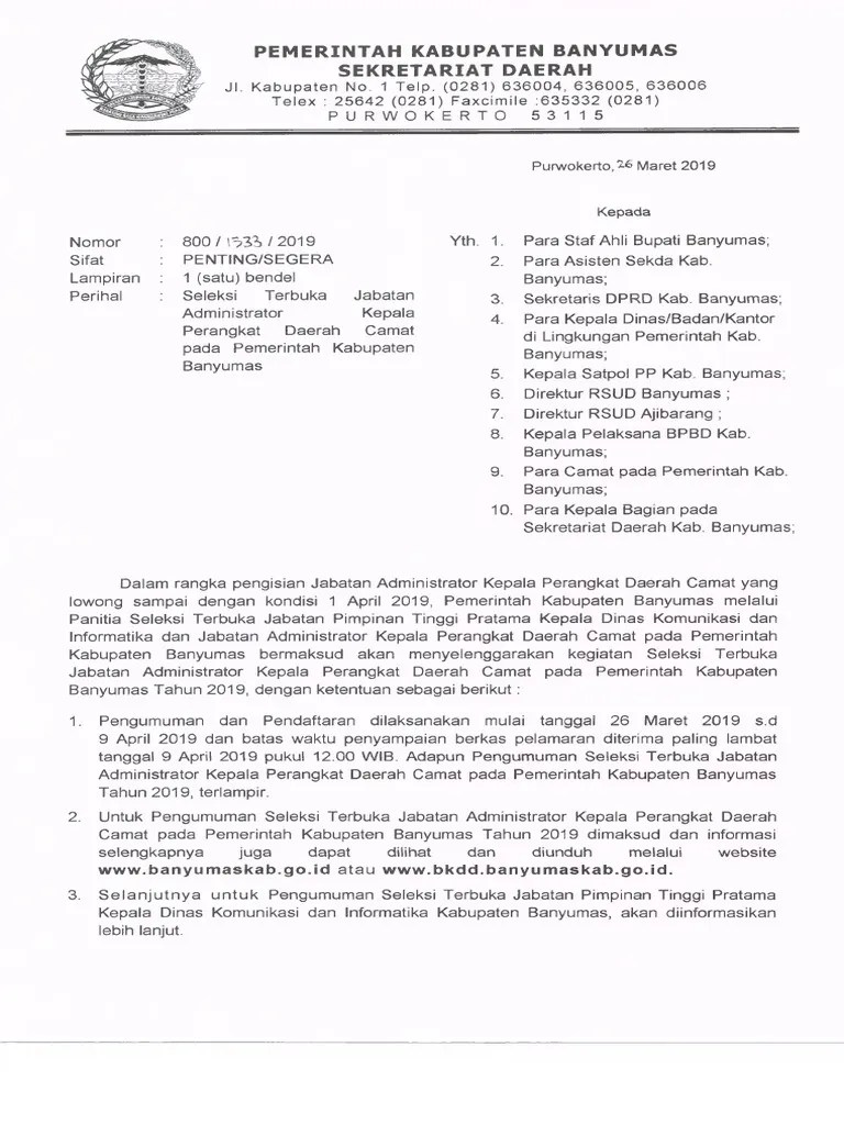 Seleksi Terbuka Camat | PDF