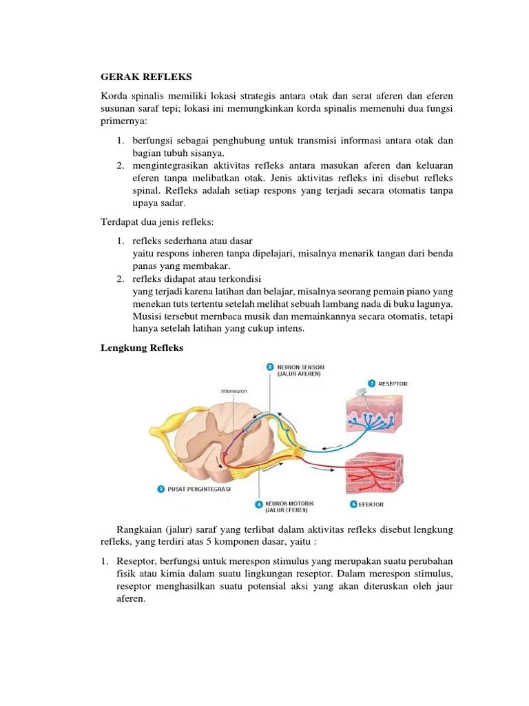 Case 6 Makalah | PDF