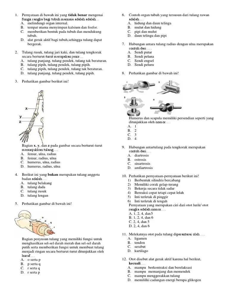 IPA Sistem Gerak 3 | PDF