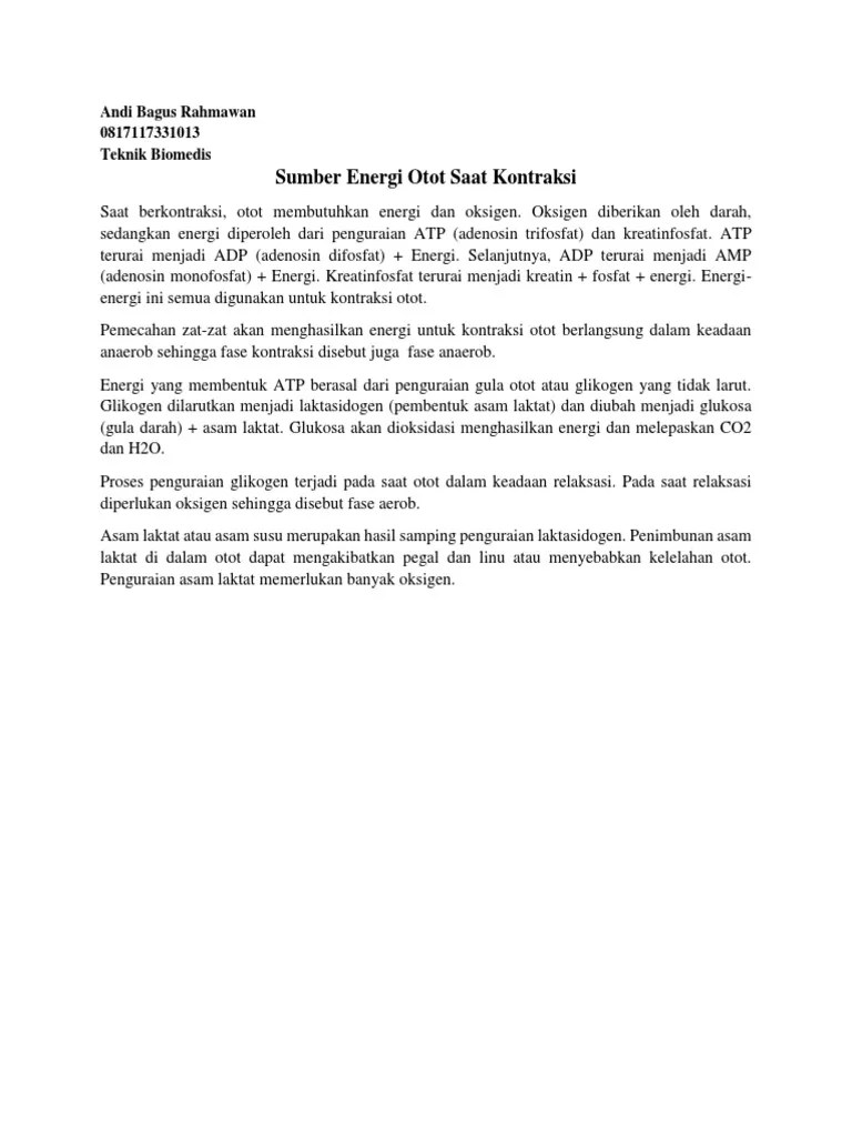 Sumber Energi Otot Saat Kontraksi | PDF