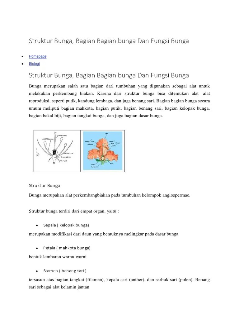 Struktur Bunga, Bagian Bagian Bunga Dan Fungsi Bunga | PDF