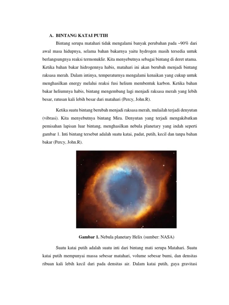 Katai Putih Novi | PDF