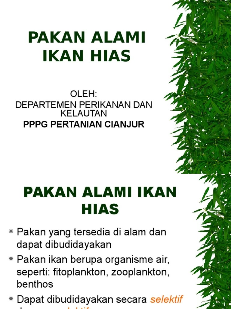 Pakan Alami Ikan Hias | PDF