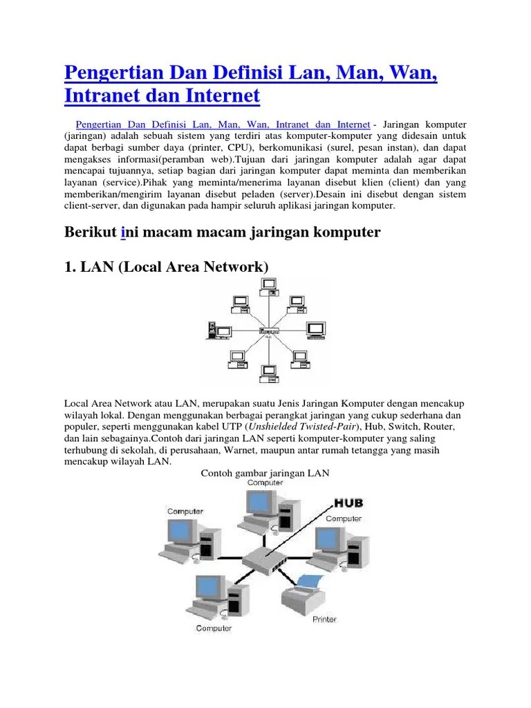Pengertian Dan Definisi Lan Man Wan Intranet Dan Internet | PDF