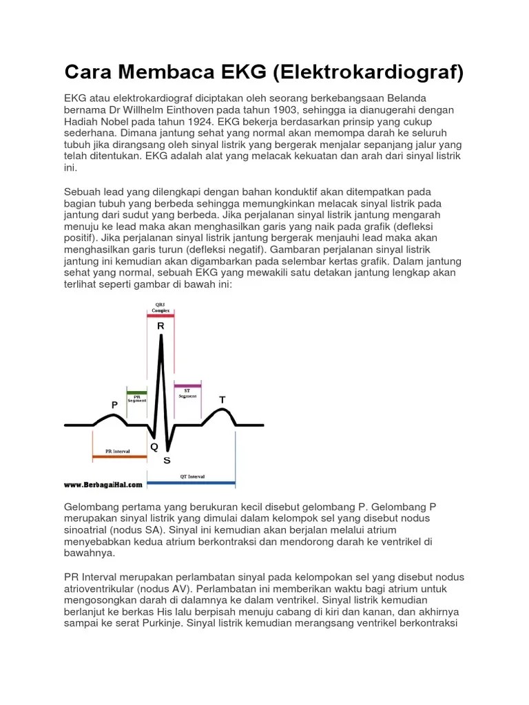 Materi EKG | PDF