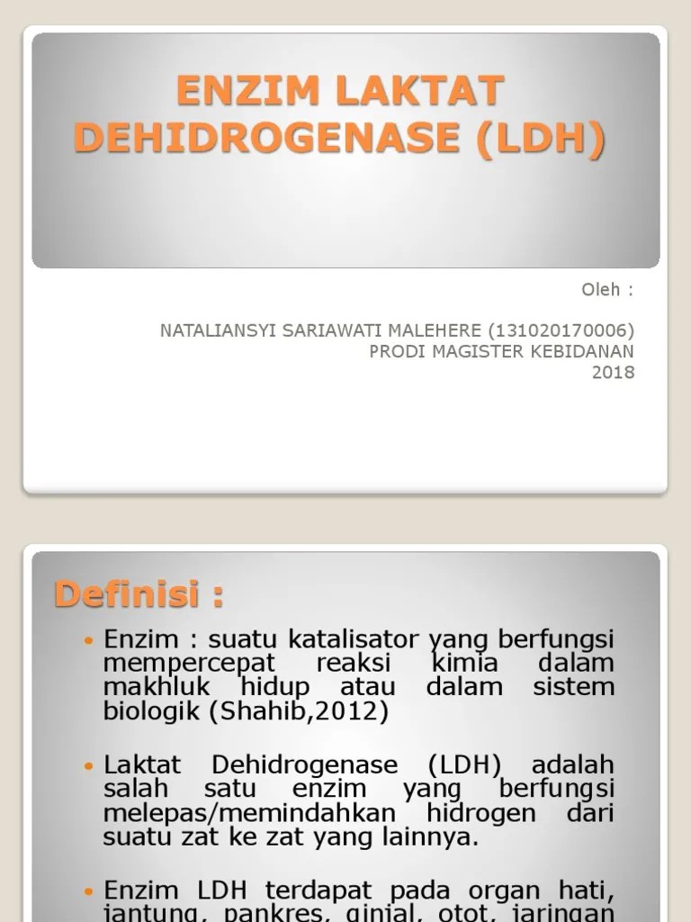 Enzym Laktat Dehidrogenase | PDF