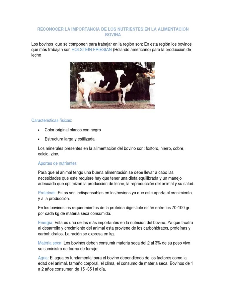 Reconocer La Importancia de Los Nutrientes en La Alimentacion Bovina | PDF  | Vacas | Alimentos