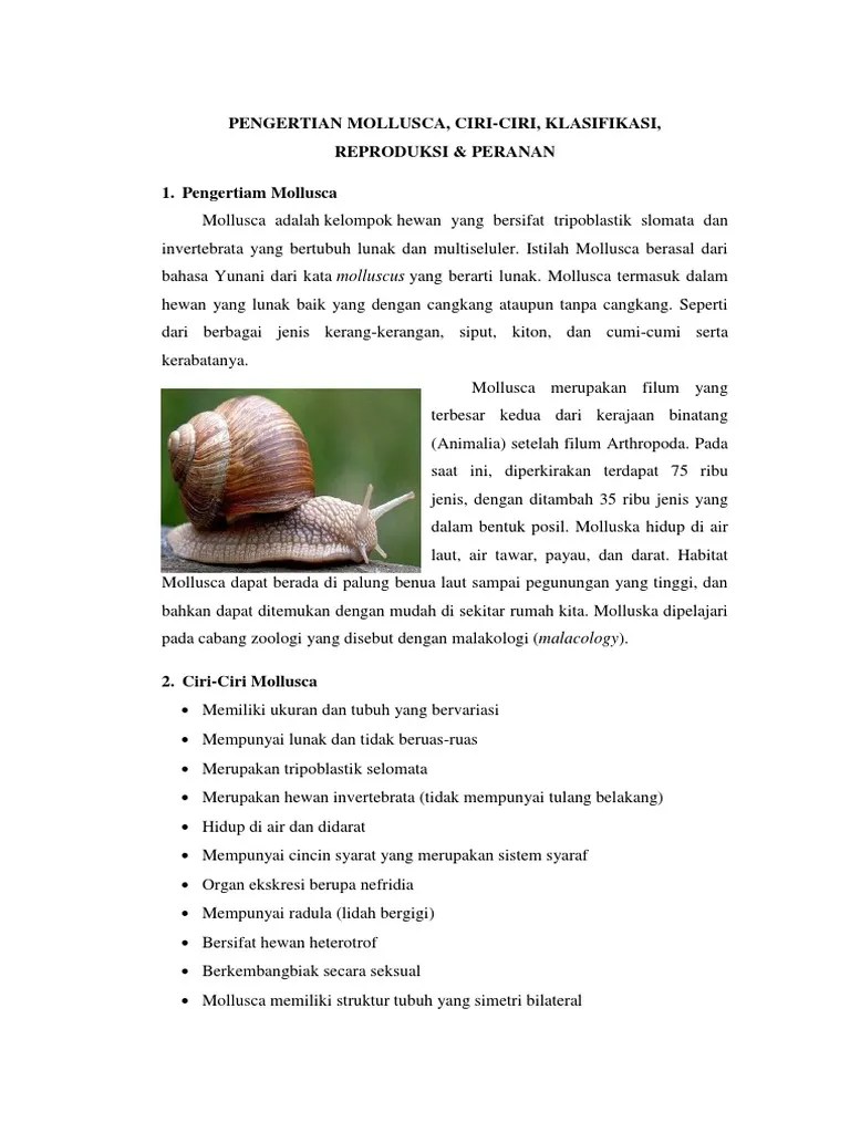 Pengertian Mollusca | PDF
