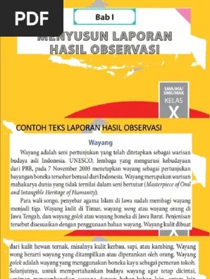 Berbagai Spesies Merpati Dan Dara Dimanfaatkan Sebagai Burung Hias – Sedang