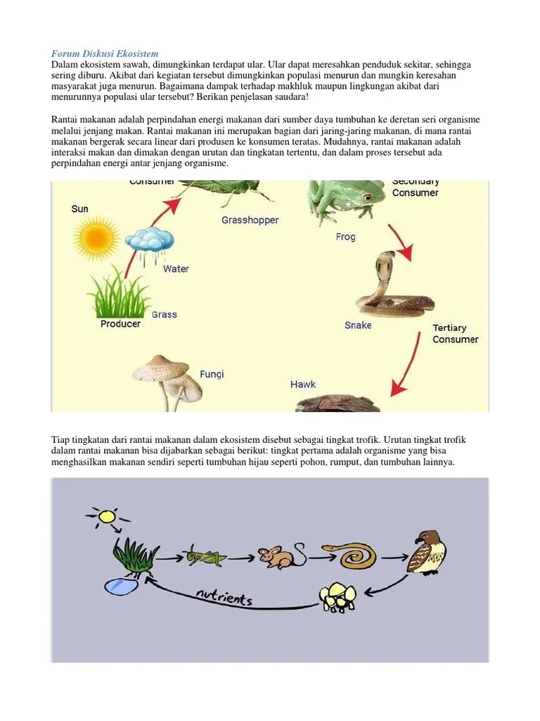 Forum Diskusi Ekosistem | PDF