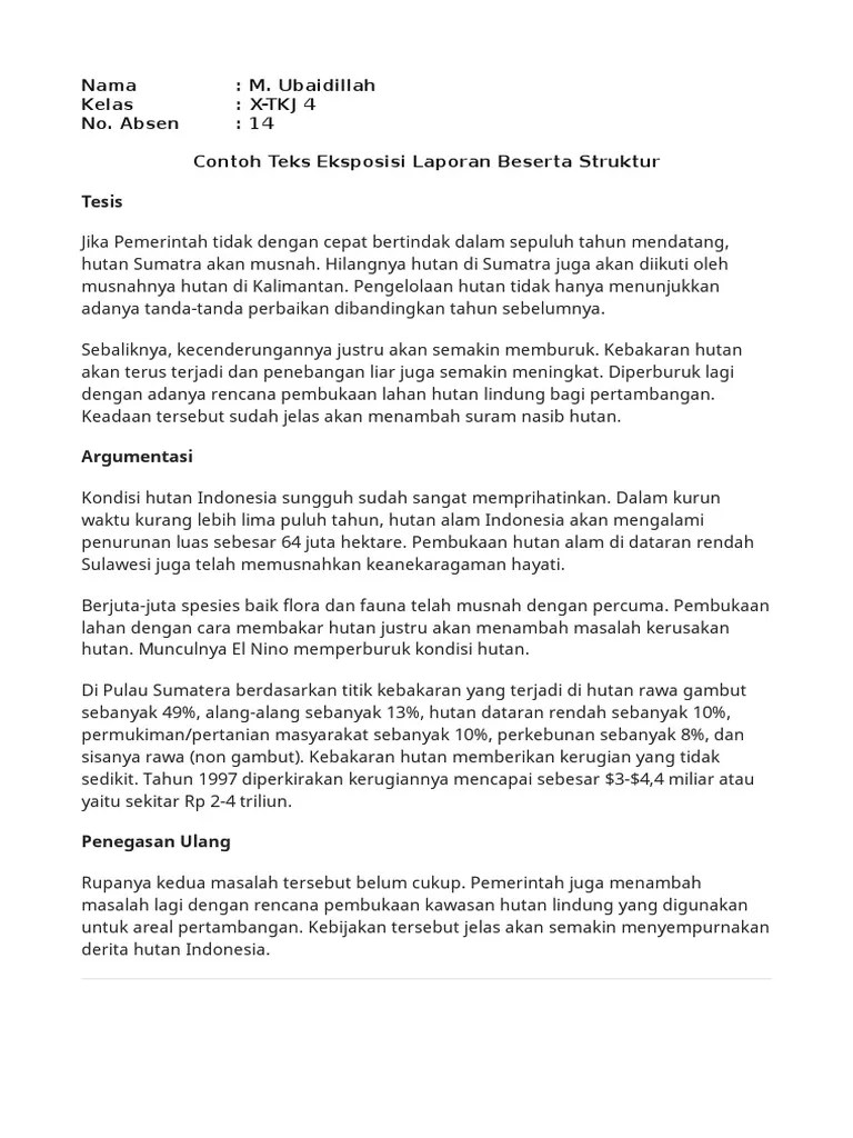 Contoh Teks Eksposisi Tentang Kebakaran Hutan Beserta Strukturnya –  Berbagai Contoh