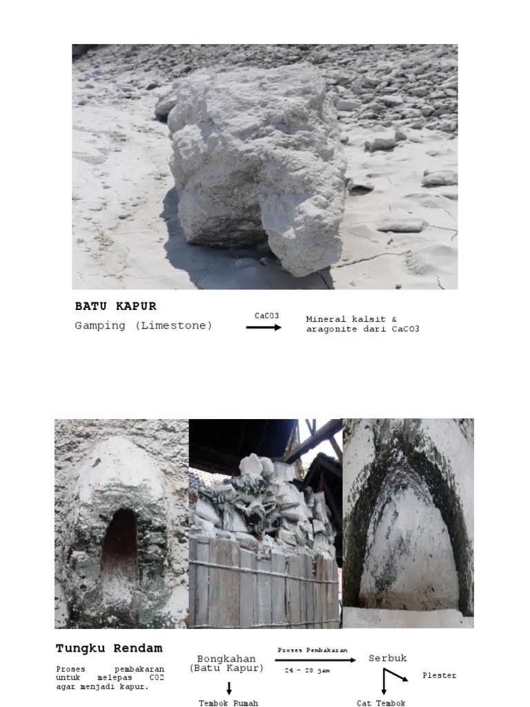 Presentation 1 | PDF