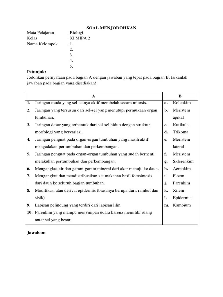 Contoh Soal Menjodohkan Materi Biologi