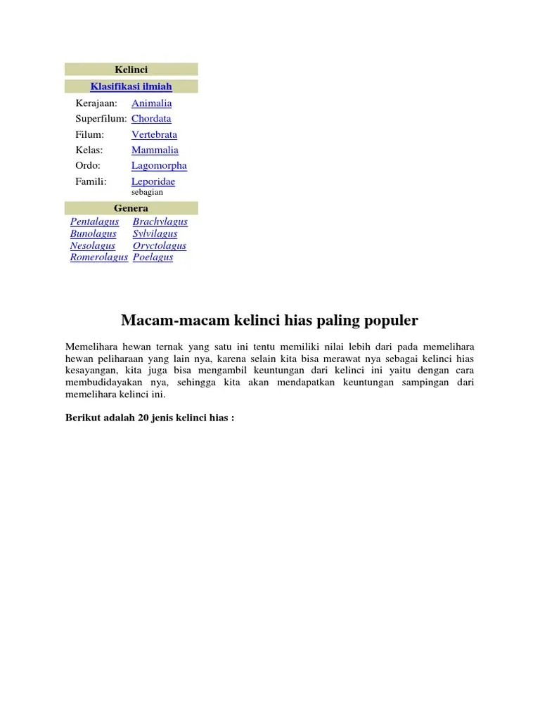 Laporan Tentang Kelinci 2 | PDF