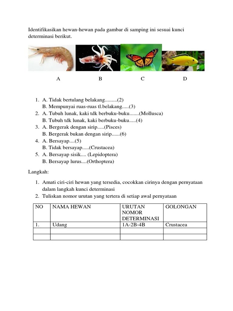 Contoh Kunci Determinasi | PDF