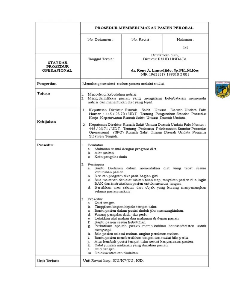 SPO Beri Makan Pasien | PDF
