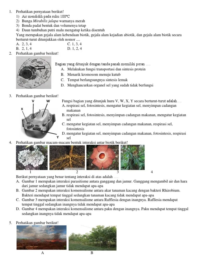 Persiapan TPM Biologi | PDF