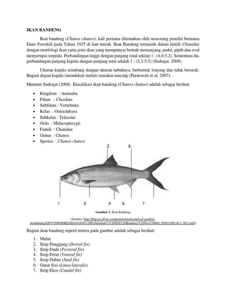 Ikan Bandeng Bab 2 | PDF