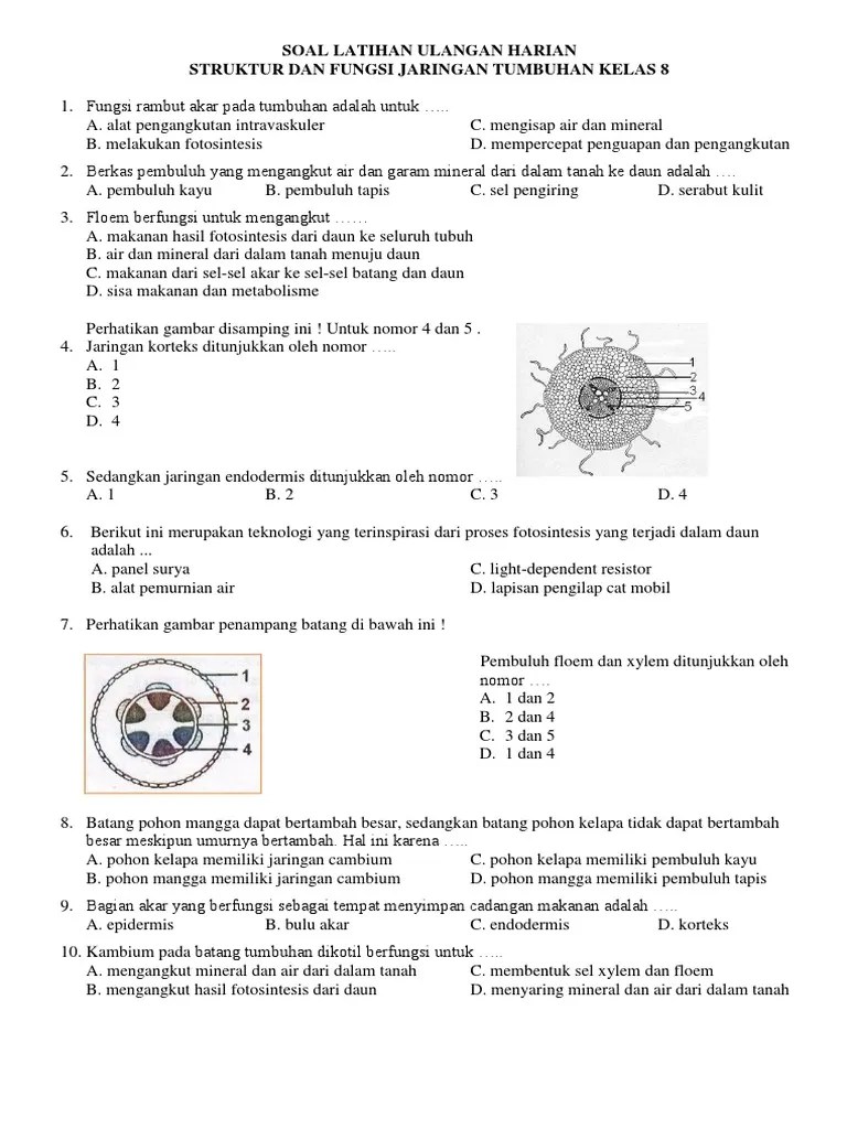 Soal Ulhar Jartum Kelas 8 | PDF
