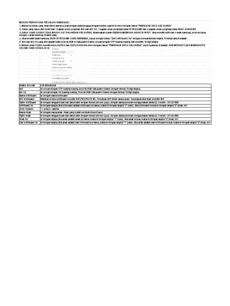 Pengisian Data Keluarga Kab Ciamis PDF | PDF
