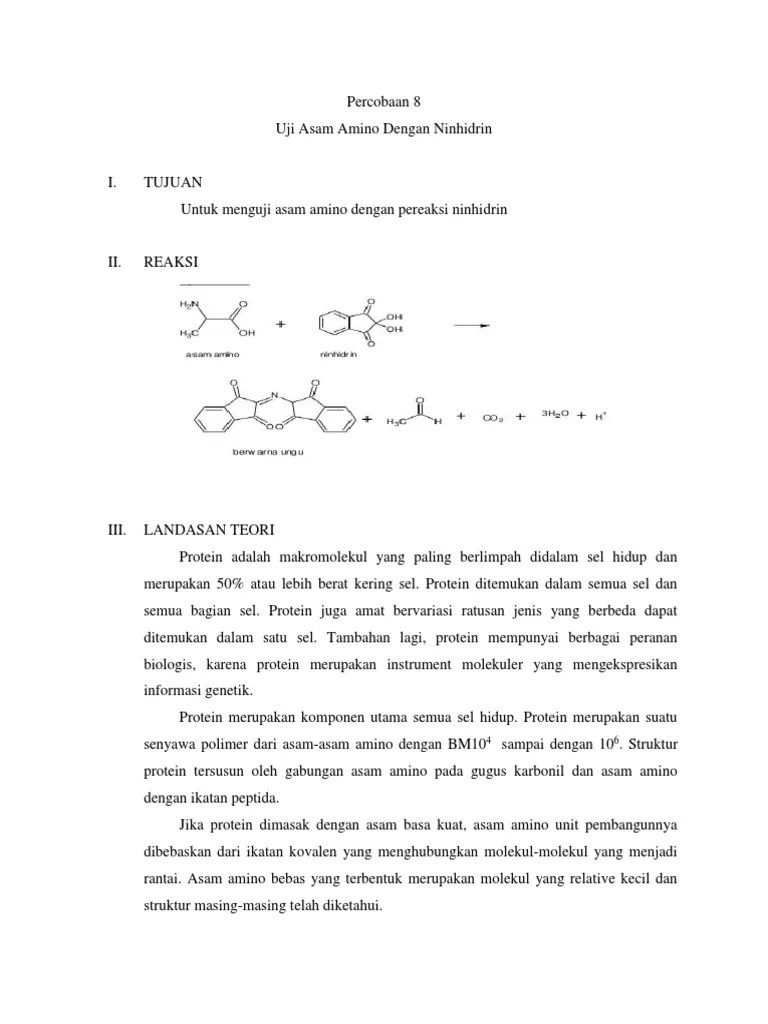 Uji Asam Amino Dan Ninhidrin | PDF