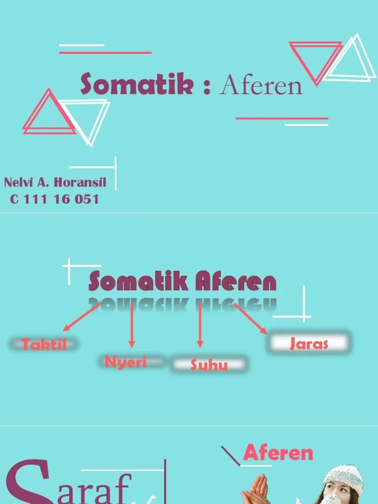 Nelvi A. Horansil - C11116051 - Somatik Aferen | PDF