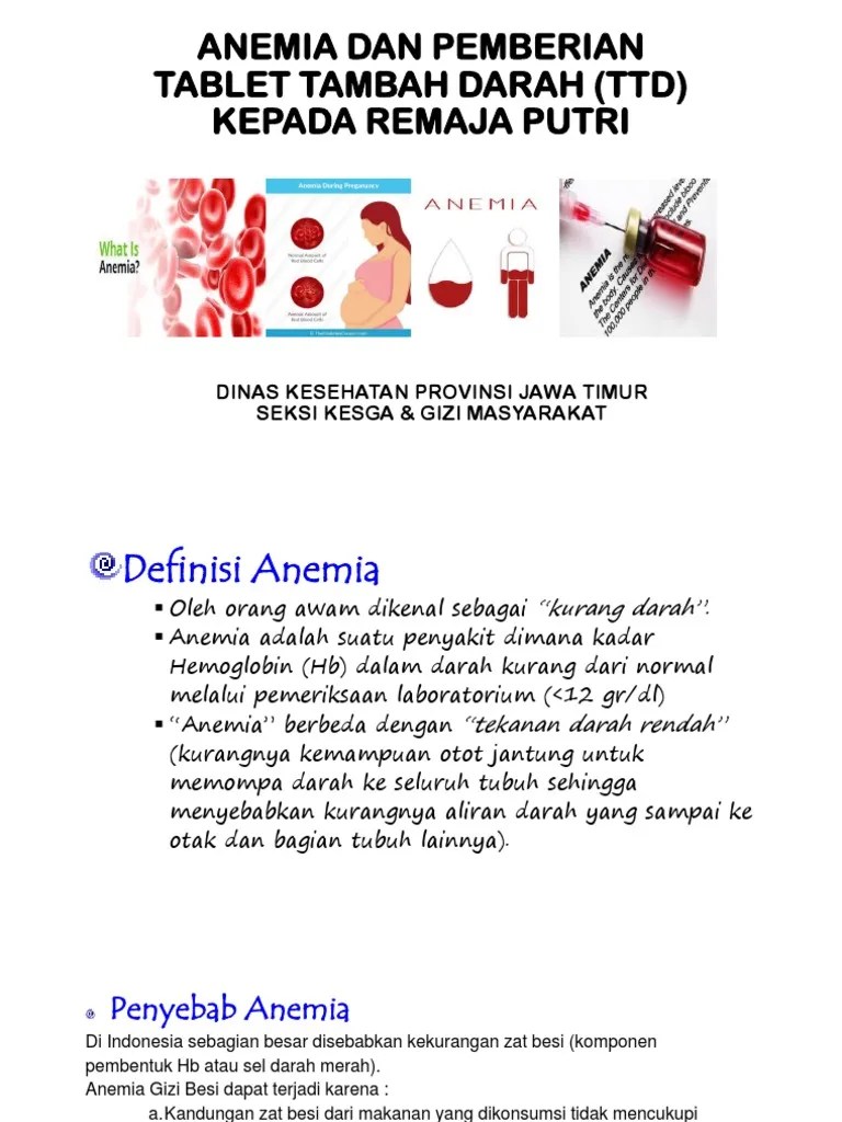 Penyuluhan TTD Sekolah | PDF