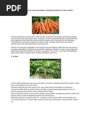 Contoh Tanaman Yang Menyimpan Cadangan Makanan Di Akar | PDF