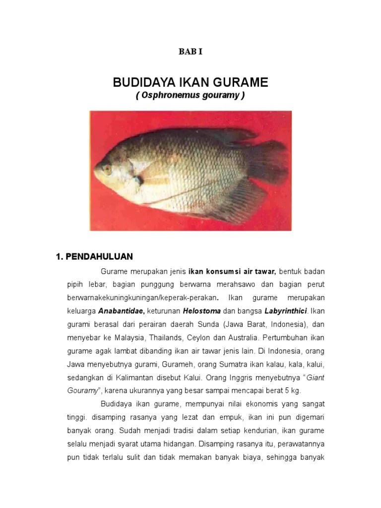 Budidaya Ikan Gurame | PDF