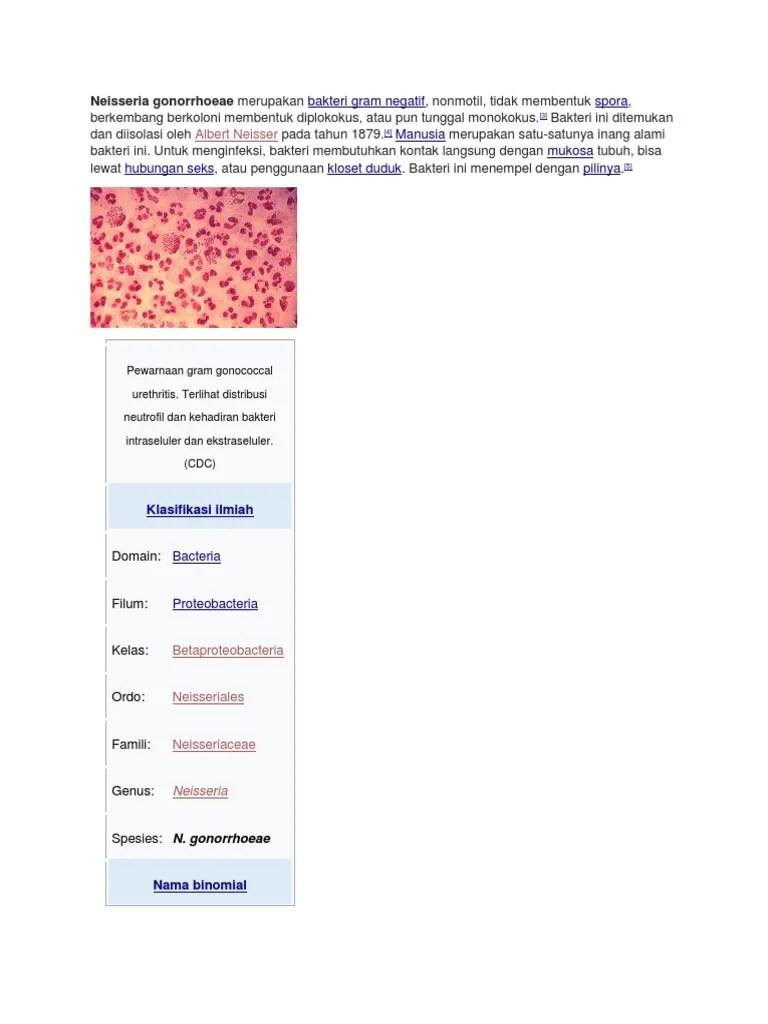 Neisseria gonorrhoeae merupakan bakteri gram negatif, nonmotil, tidak  membentuk spora