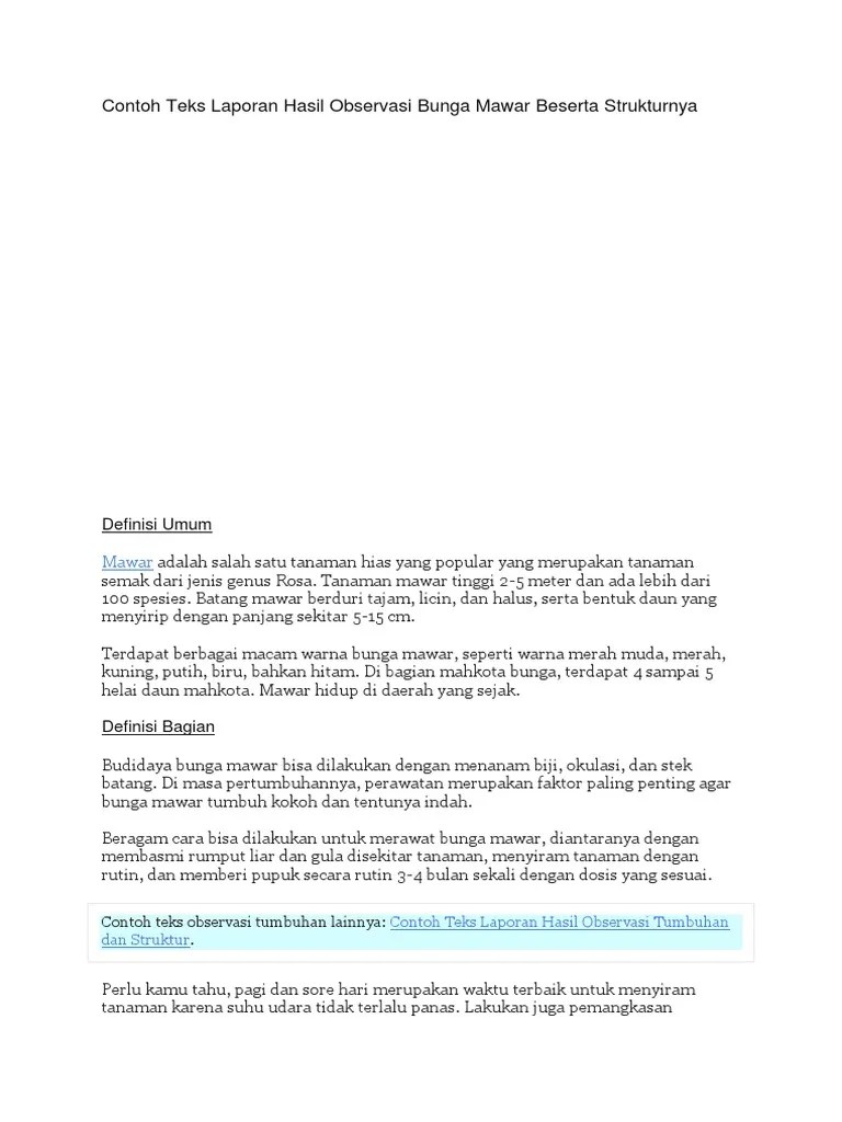 Contoh Teks Observasi Bunga Mawar | PDF