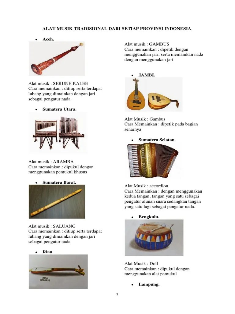 Alat Musik Tradisional 34 Provinsi Indon | PDF