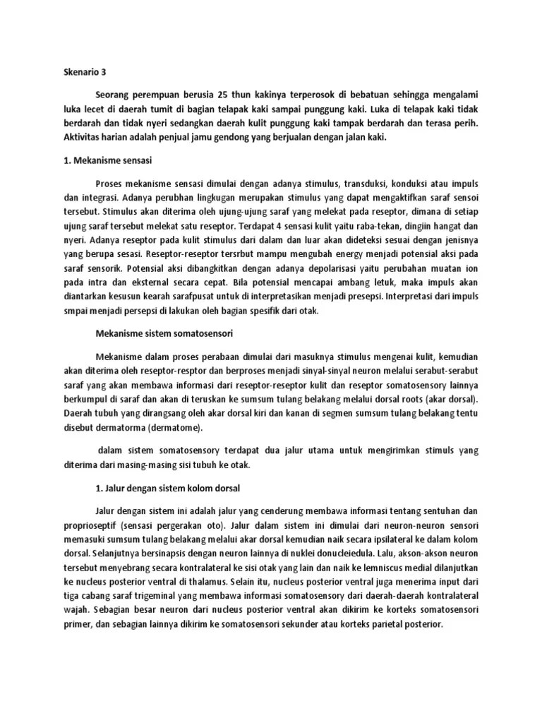 Skenario 3 | PDF