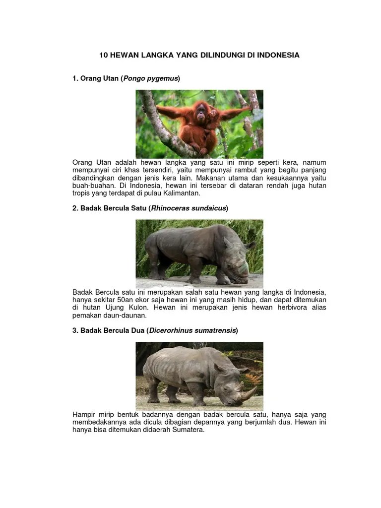10 Hewan Dan Tumbuhan Langka Di Indonesia Beserta Keterangannya