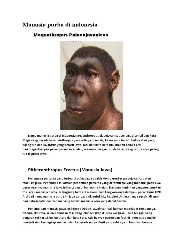 Meganthropus Paleojavanicus Artinya