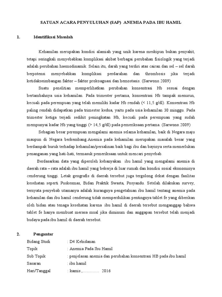 Satuan Acara Penyuluhan Anemia Pada Ibu Hamil | PDF