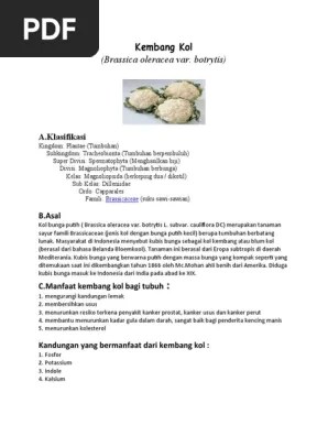 Kembang Kol | PDF