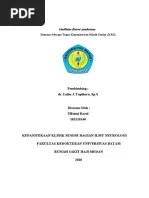 HNP Journal Fix | PDF