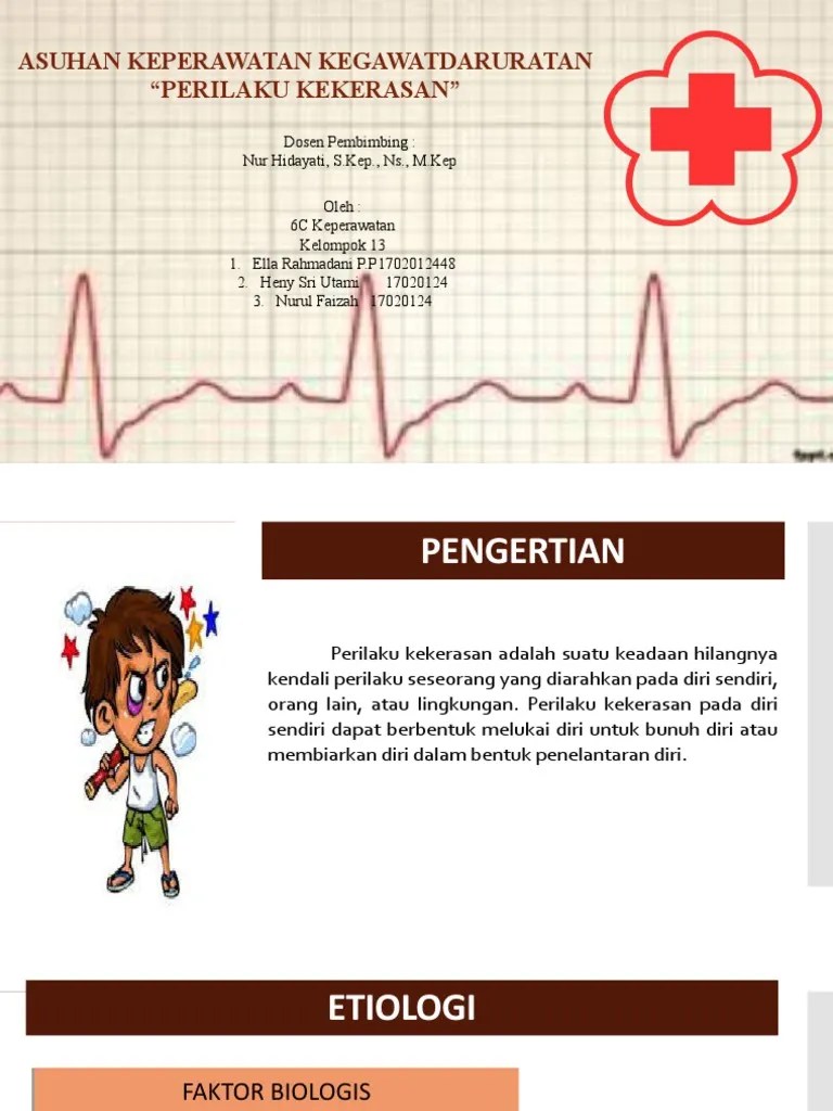 6C Kel 13 Perilaku Kekerasan | PDF