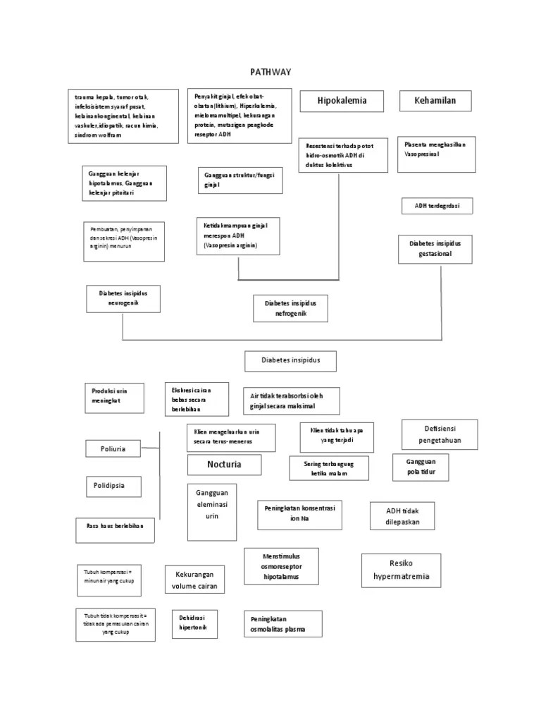 PATHWAy Durung Fix | PDF