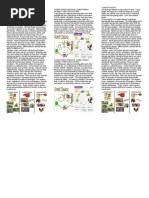 KELOMPOK | PDF | Elephant | Tiger