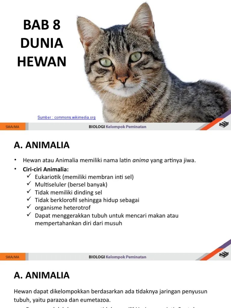 BAB 8 Dunia Hewan (Animalia) | PDF
