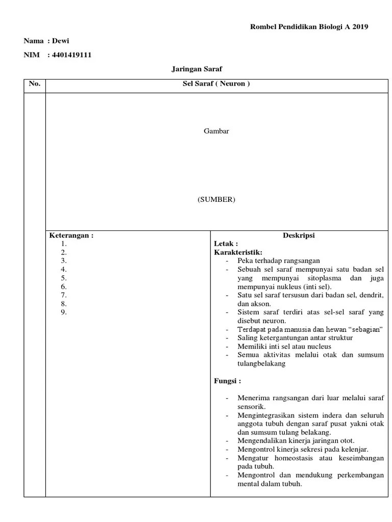 Dewi - Jaringan Saraf | PDF